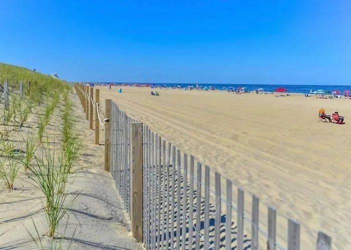 Beautiful 2br/2ba With 2 Private Balconies! Apartment *